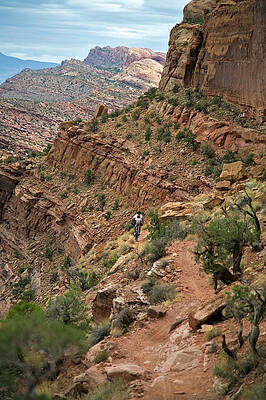 Wall Art - Photograph - A Man Mountain Biking In Moab, Utah #5 by Whit Richardson