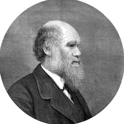 Wall Art - Painting - Charles Robert Darwin (1809-1882) #5 by Granger