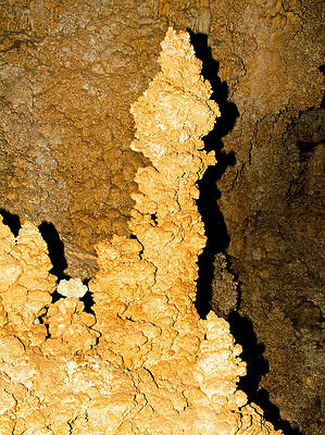 Wall Art - Photograph - Column Formation In Carlsbad Caverns #5 by Millard H. Sharp