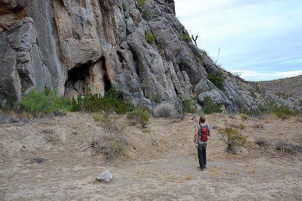 Wall Art - Photograph - Exploring Big Bend National Park #5 by Taylor Reilly