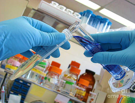 Wall Art - Photograph - Laboratory Experiment in Science Research Lab #5 by Science Research Lab
