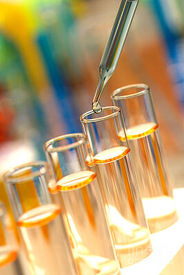 Wall Art - Photograph - Scientific Experiment in Science Research Lab #5 by Science Research Lab