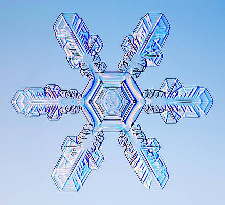 Wall Art - Photograph - Snowflake #5 by Science Photo Library