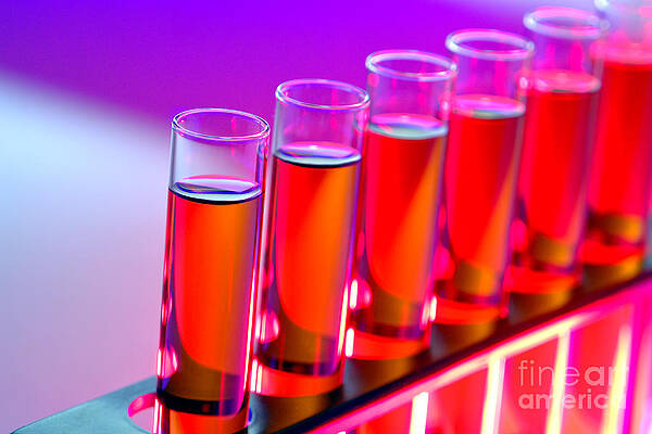 Wall Art - Photograph - Test Tubes in Science Research Lab #5 by Science Research Lab