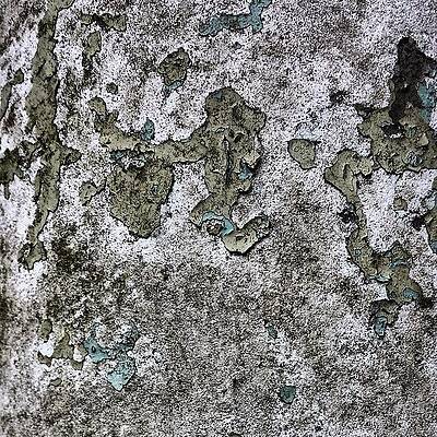 Wall Art - Photograph - Lamppost 6 by Jason Roust