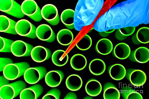 Wall Art - Photograph - Laboratory Experiment in Science Research Lab #51 by Science Research Lab