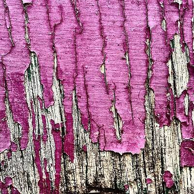 Wall Art - Photograph - Flaky Paint 2 by Jason Roust