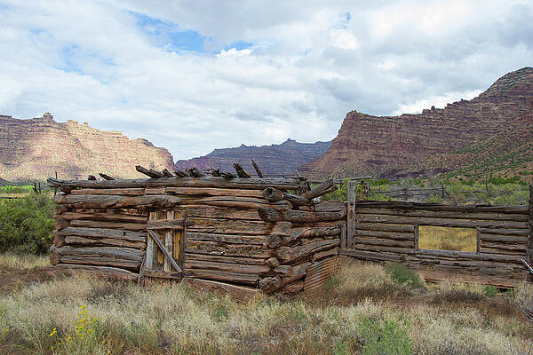 Wall Art - Photograph - Rafting In Desolation And Gray Canyons #6 by Taylor Reilly