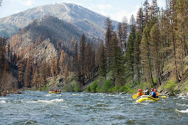 Wall Art - Photograph - Rafting The Middle Fork Of The Salmon #6 by Justin Bailie