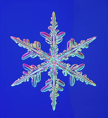 Wall Art - Photograph - Snowflake #6 by Science Photo Library