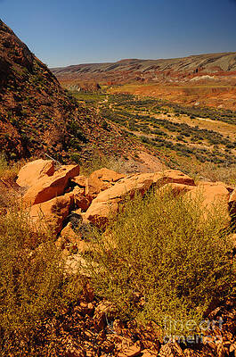 Wall Art - Photograph - 653P Mexican Hat Utah by NightVisions