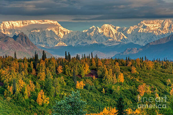 Wall Art - Photograph - Alaska Range #7 by Mark Newman