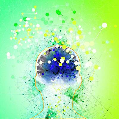 Wall Art - Photograph - Head With Connecting Lines #7 by Science Photo Library