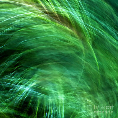 Meditations on Movement in Nature by Joanne Bartone Meditations on Movement in Nature by Joanne Bartone