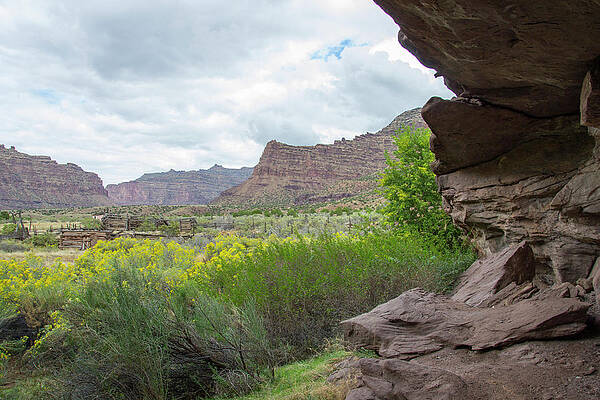 Wall Art - Photograph - Rafting In Desolation And Gray Canyons #7 by Taylor Reilly
