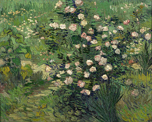 Roses Print by Vincent van Gogh