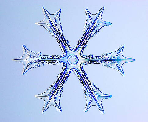 Wall Art - Photograph - Snowflake #7 by Science Photo Library