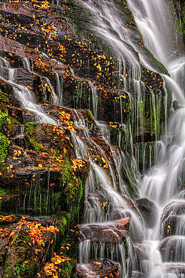 Wall Art - Photograph - USA, North Carolina, Brevard #7 by Jaynes Gallery