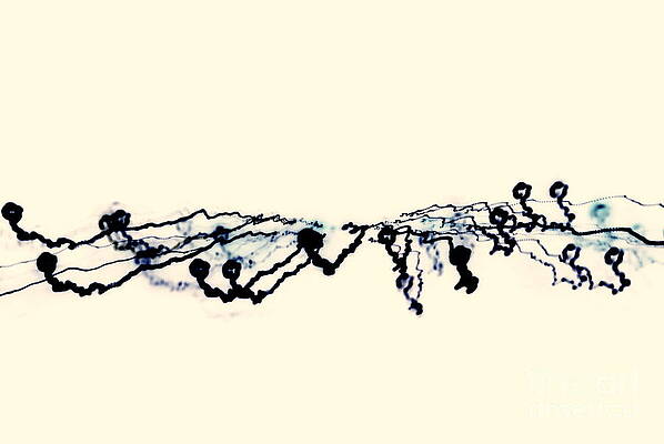 Wall Art - Photograph - 7214 by Mark Blome