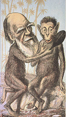 Wall Art - Painting - Charles Darwin (1809-1882) #8 by Granger