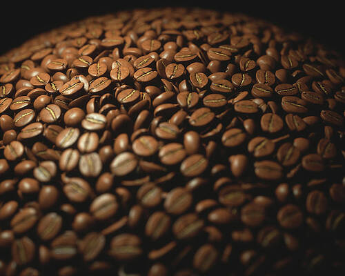 Isolated Coffee Beans Close-up by Aristotoo