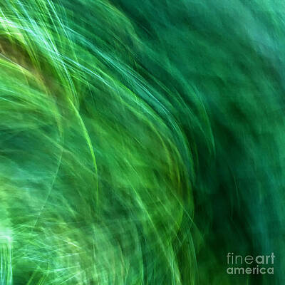 Meditations on Movement in Nature by Joanne Bartone Meditations on Movement in Nature by Joanne Bartone