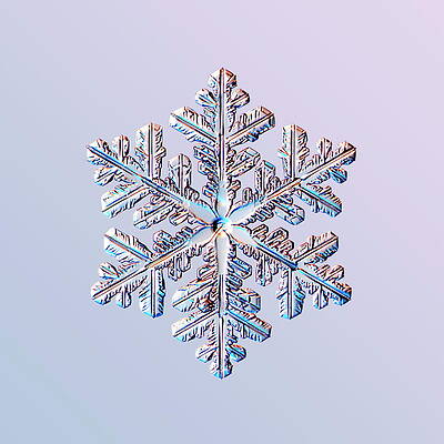 Wall Art - Photograph - Snowflake #8 by Science Photo Library
