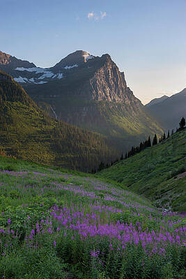 Wall Art - Photograph - USA, Montana, Glacier National Park #8 by Jaynes Gallery