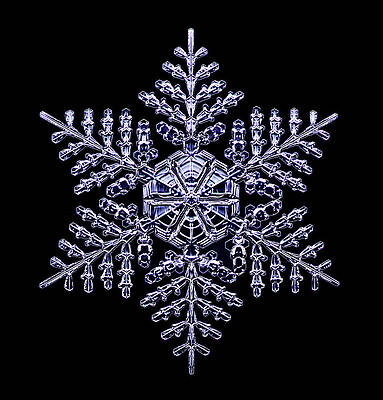Wall Art - Photograph - Snowflake #81 by Science Photo Library