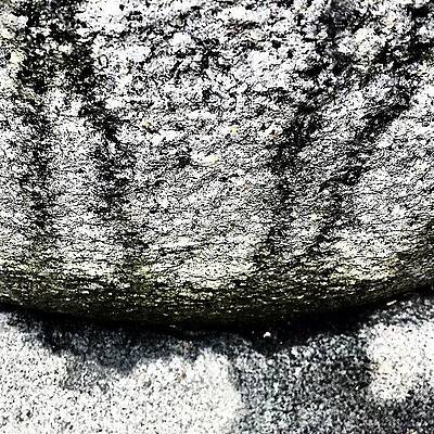 Wall Art - Photograph - Textured 2 by Jason Roust