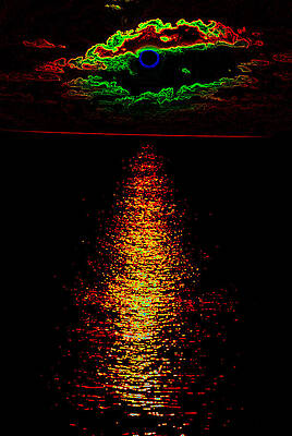 Photograph - Night Vision by Dave Byrne