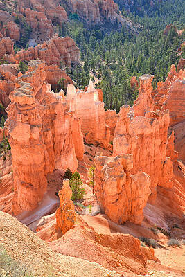 Wall Art - Photograph - Bryce Canyon #42 by Ray Mathis