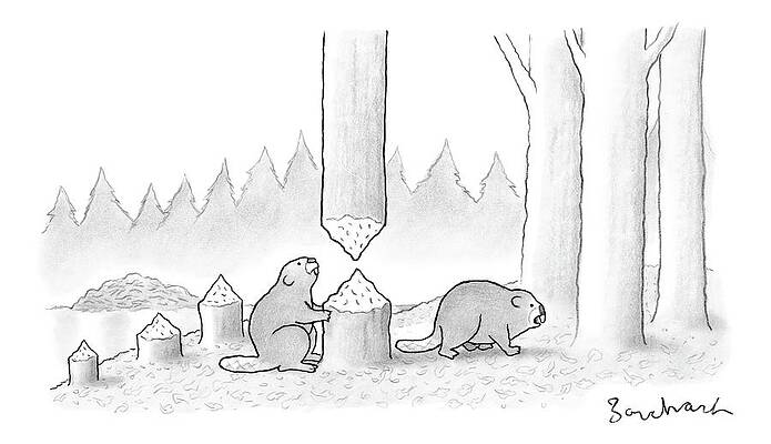Wall Art - Drawing - A Beaver Chewed Through A Tree Trunk by David Borchart