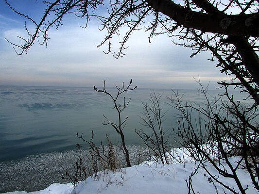 A Blue with a View by Kimberly Mackowski A Blue with a View by Kimberly Mackowski