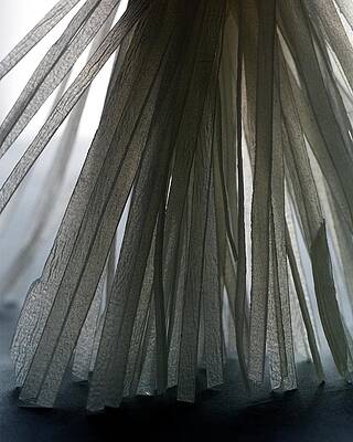Wall Art - Photograph - A Bunch Of Tagliolini Pasta by Romulo Yanes