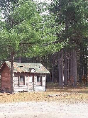 A Cabin in the Woods by Christy Gendalia A Cabin in the Woods by Christy Gendalia