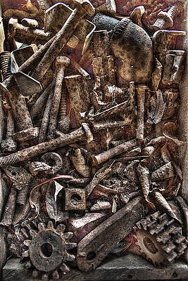 Wall Art - Photograph - A Case of Curiosities by William Fields