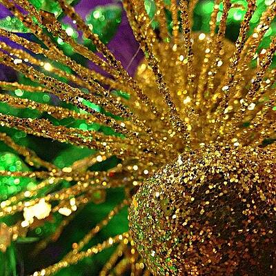 A Close Up Of The #mardigras Wreath My by Craig Szymanski