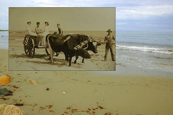 A Day at the Beach in Little Compton RI by Jeff Hayden