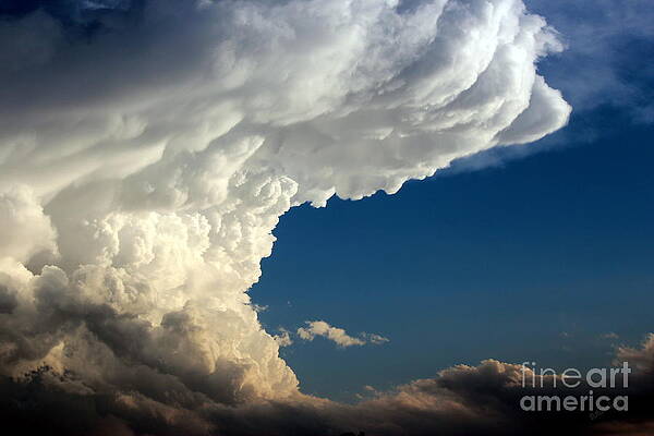 Wall Art - Photograph - A Face in the Clouds by Barbara Chichester