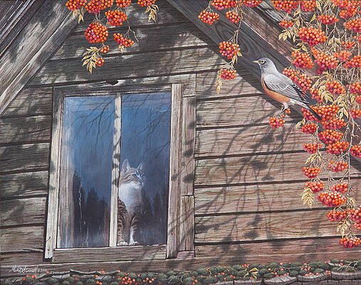 A Feast for the Eyes by Mike Stinnett A Feast for the Eyes by Mike Stinnett