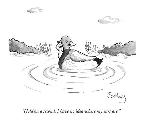 Wall Art - Drawing - A Floating Duck On A Lake by Avi Steinberg