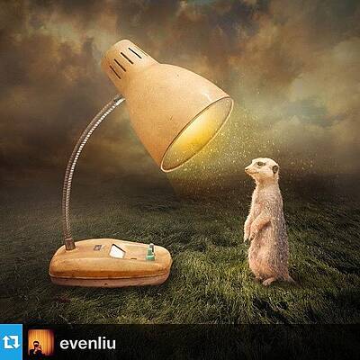 Wall Art - Photograph - A Great Edit By :⚡@evenliu 
check by Usman Ali