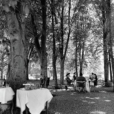 Wall Art - Photograph - A Group Of People Eating Lunch Under Trees by Luis Lemus