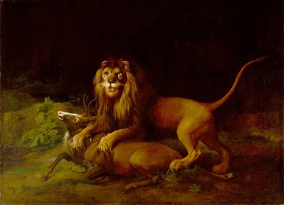 A Lion Attacking a Stag Print by George Stubbs