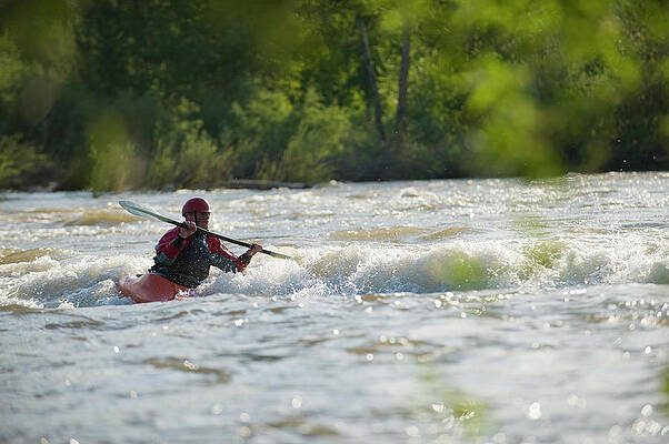 Wall Art - Photograph - A Male Whitewater Kayaker Front Surfs by Doug Marshall