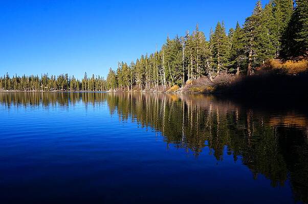A Mammoth Lake by Julia Ivanovna Willhite A Mammoth Lake by Julia Ivanovna Willhite