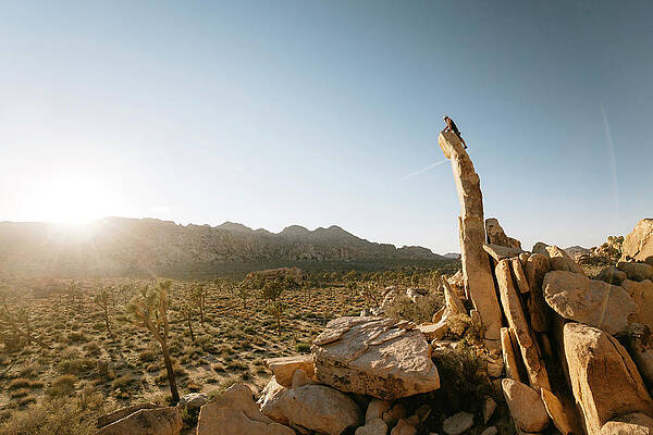 Wall Art - Photograph - A Man Climbing Aiguille De Joshua Tree by Ryan Tuttle