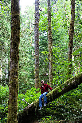 Wall Art - Photograph - A Man Sits On A Log In The Thick Green by Michael Hanson