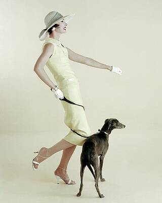 Wall Art - Photograph - A Model Walking A Dog by Richard Rutledge